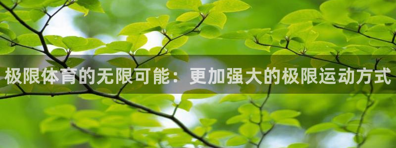 3377体育官网下载招商电话号码:极限体育的无限可能:更加强