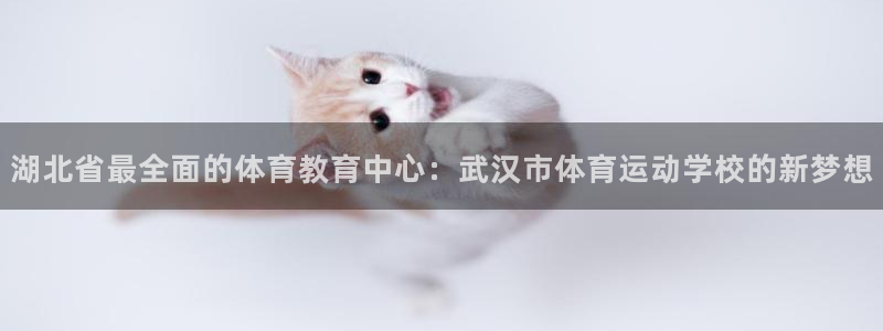 3377体育官网下载招商电话是多少号码:湖北省最全面的体育教