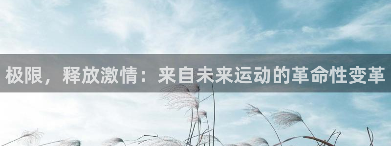 海南3377体育官网下载:极限,释放激情:来自未来运动的革命