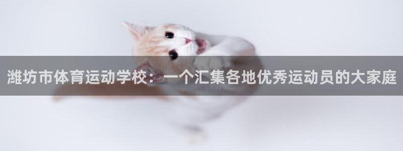 3377体育官网下载娱乐:潍坊市体育运动学校:一个汇集各地优