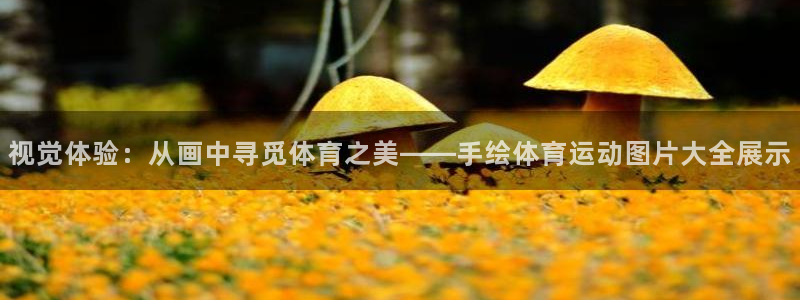 3377体育官网下载招商电话地址:视觉体验:从画中寻觅体育之