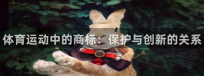 3377体育官方正版app娱乐40996:体育运动中的商标: