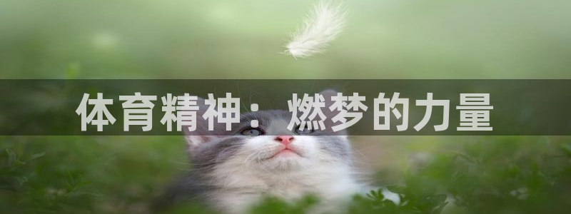 3377体育官方正版app科技:体育精神:燃梦的力量